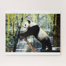 Suche nach panda puzzle Kinder