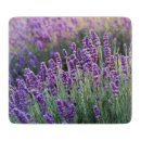 Suche nach lila lavendel schneidebrettchen Violette blumen
