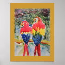 Suche nach tropischer regenwald poster Papagei