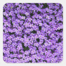 Suche nach violette blume aufkleber Quelle