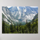 Suche nach trailer park poster National