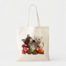 Suche nach drei katzen taschen Tiere