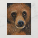 Suche nach braunbär postkarten Tierwelt
