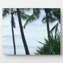 Suche nach hawaii fotoplatten Tropisch