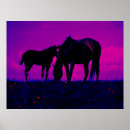Suche nach filmen poster Pferd