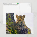 Suche nach serengeti postkarten Wildtiere