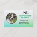 Suche nach chihuahua visitenkarten Tiere