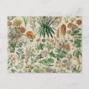 Suche nach flechten poster Natur