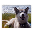 Suche nach heiser kalender Hund