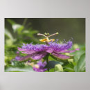 Suche nach lila blumen poster Natur