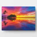 Suche nach hawaii fotoplatten Nautisch