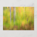 Suche nach herbstwald postkarten Baum