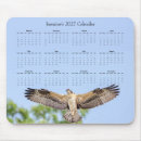 Suche nach im flug mousepads Raubvogel