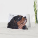 Suche nach könig karten Kavalier