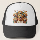 Suche nach lustige dumme kappen Hund