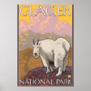 Suche nach mountain goat poster Gletscher