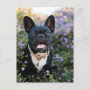 Suche nach reinrassig postkarten Bulldogin