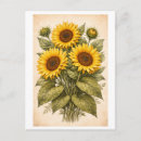 Suche nach vintage sonnenblume postkarten Botanisch