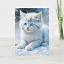 Suche nach spieler karten Winter