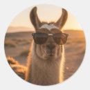 Suche nach peru reise aufkleber Anden