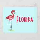 Suche nach florida flamingo postkarten Tiere