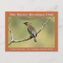 Suche nach waxwing Schwingend
