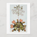 Suche nach platten postkarten Blume