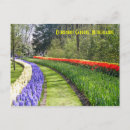 Suche nach keukenhof postkarten Gärten