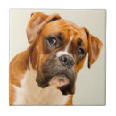 Suche nach großbritannien fliesen Porträt