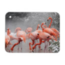 Suche nach smithsonian Nationaler zoo