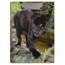 Suche nach zoo klemmbrett Katze