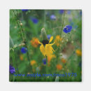 Suche nach coneflower Pflanzen