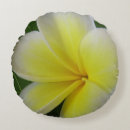Suche nach frangipani kissen Modern