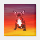 Suche nach franchise magnete Tier