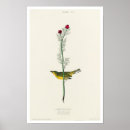 Suche nach vogelbeobachtung kunst Vogelliebhaber