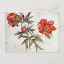 Suche nach studieren postkarten Blume