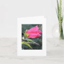 Suche nach rote blumen karten Natur