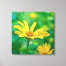 Suche nach gelbe wildblumen leinwandbilder Blau
