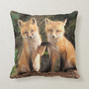 Suche nach babyfuchs kissen Wildtiere