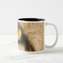 Suche nach kruger nationalpark tassen Natur