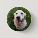 Suche nach retriever buttons Niedlich
