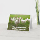 Suche nach lustig huhn karten Fotografie