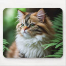 Suche nach perser mousepads Haustier