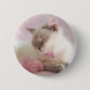 Suche nach flaumig buttons Kätzchen