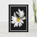Suche nach mit besten wünschen karten Blume