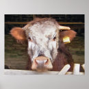 Suche nach kuh aquarell poster Niedlich