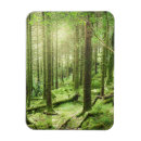 Suche nach wald magnete Moos