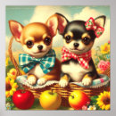 Suche nach chihuahua poster Welpen