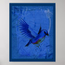 Suche nach blaue vögel poster Bluebirts