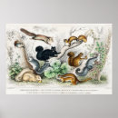 Suche nach pädagogisch poster Wild